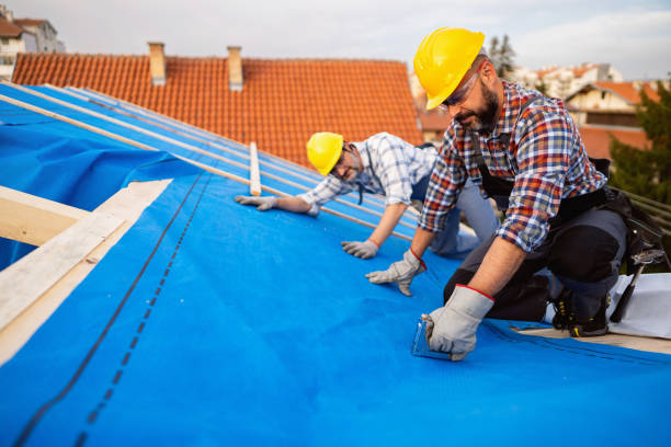 Best Roof Maintenance Services  in Heyville, AL